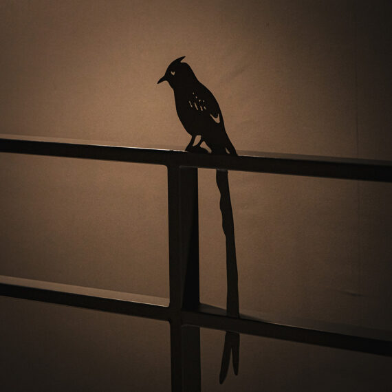 夕方～夜には、鳥のモチーフがシルエットのように浮かび上がる