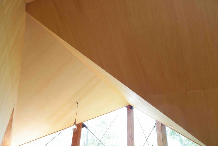 複雑な造りに興味津々！