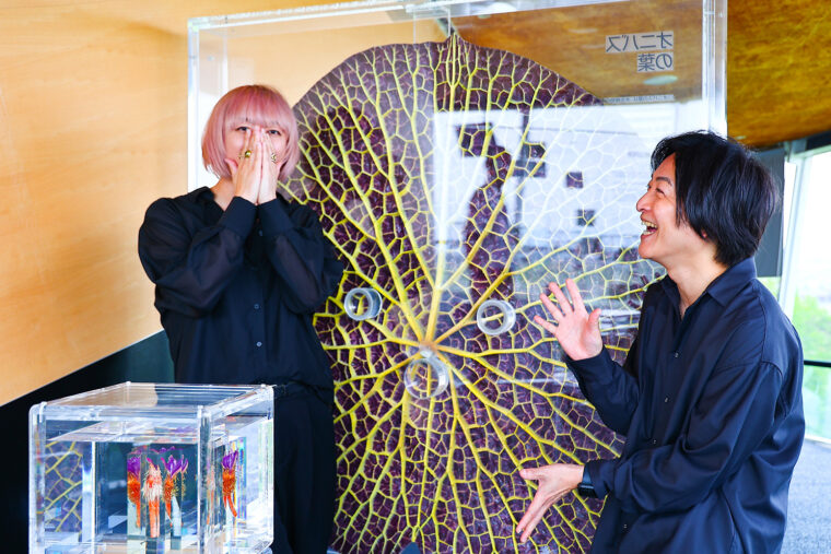 福島潟はオニバスが自生する日本の北限。直径2メートルもの葉はいくつものトゲがあり、まさに鬼のよう！　オニバスの成長過程をオブジェやパネルで紹介