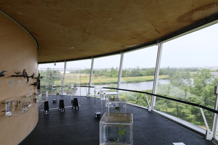 館内は渡り鳥のオオヒシクイや北限のオニバスといった貴重な動植物に関する知識を学べる「潟の博物館」となっている