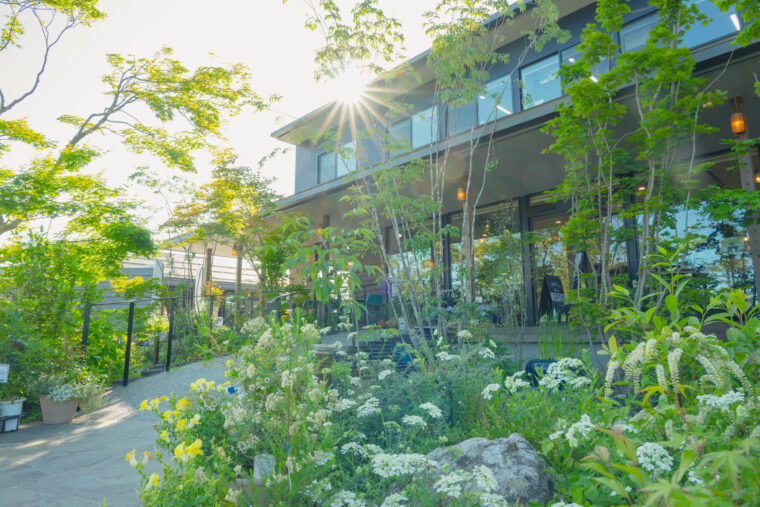 緑あふれる庭。避暑地を訪れたような気分に