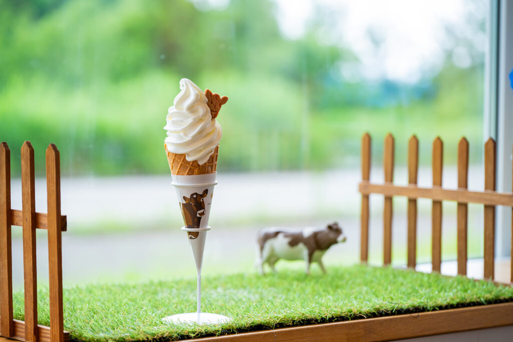 加勢牧場わしま本店】加勢牧場の貴重なガンジー牛乳がソフトクリームに