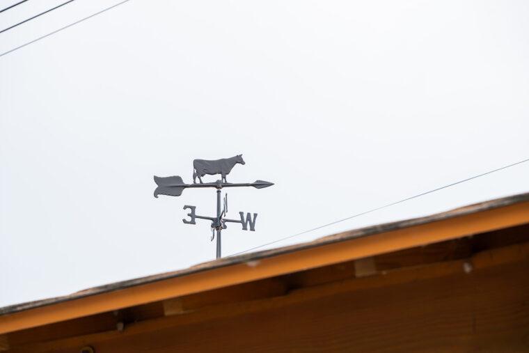 屋上には風見鶏ならぬ風見"牛"が！