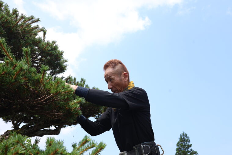 庭木の剪定には絶対的な自信を持つ