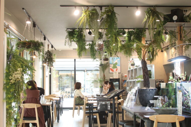 ランチの提供も