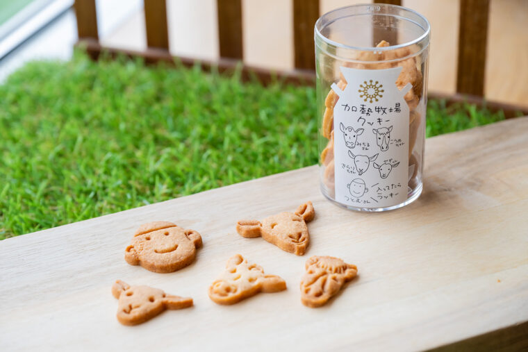 上にのせられた、加勢牧場で飼育されている牛やヤギをモチーフにしたクッキーもかわいい!
