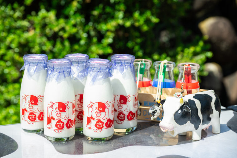 三和牛乳の牛乳。栄養価が高く、濃厚な甘さとコクがありつつもさっぱりとしていて飲みやすい