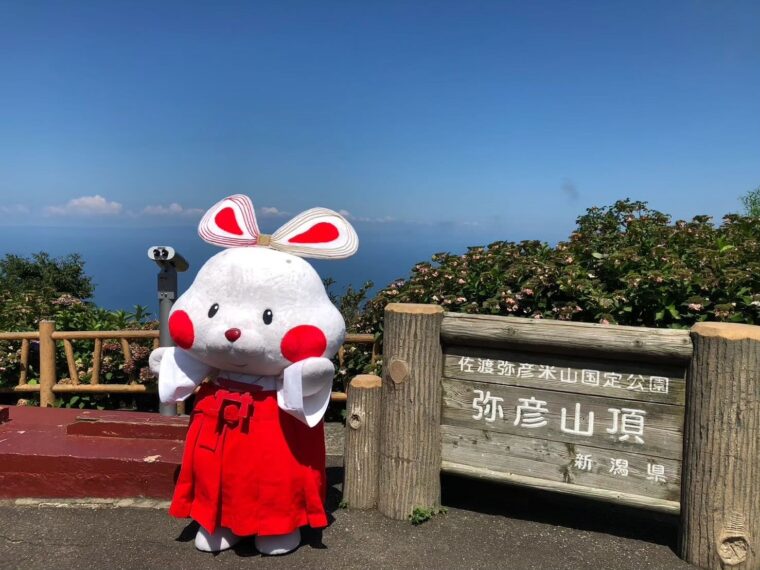 ミコぴょんステッカーがもらえるよ