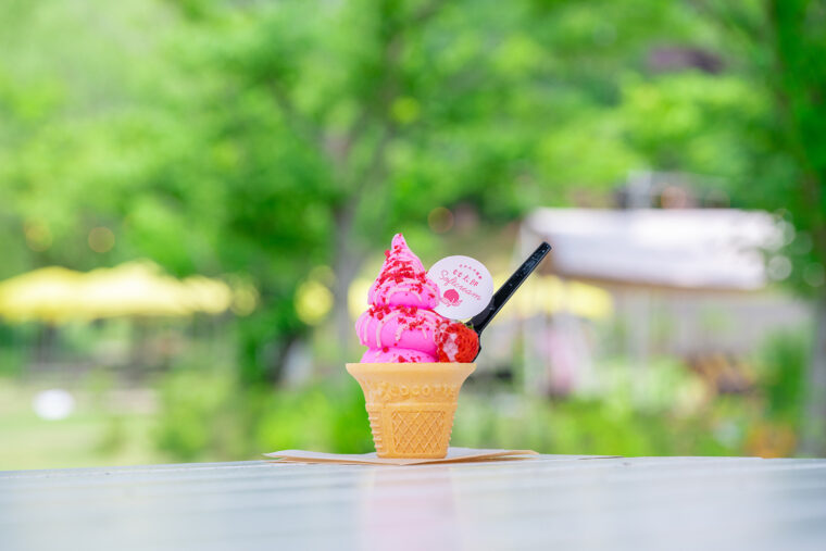 『もも太郎ソフトクリーム』（540円）