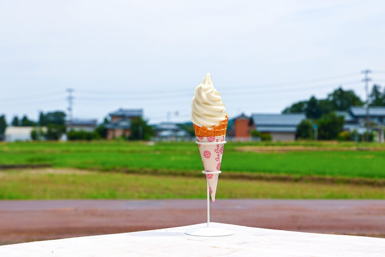 ソフトクリーム』（500円）