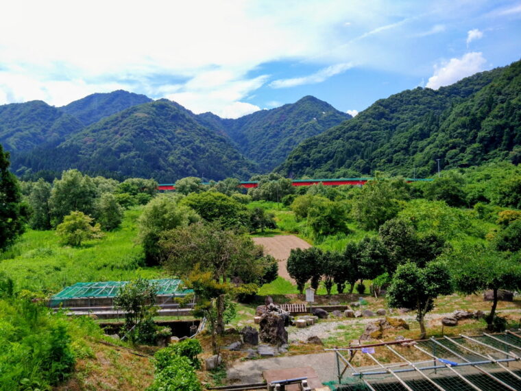 店内から見える景色