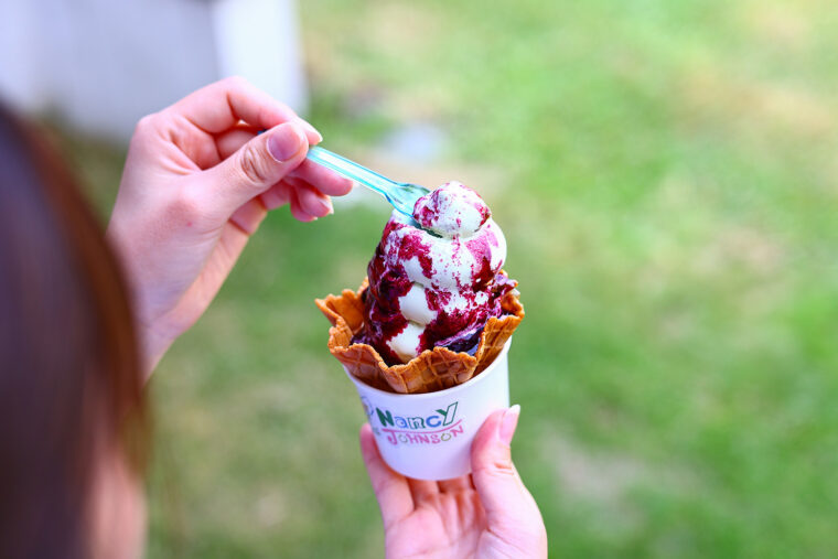 自家農園産のブルーベリーで作ったソースを使用した『ブルーベリー』（650円）　