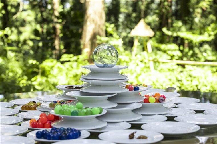 狩野哲郎　Photo by Nakamura Osamu