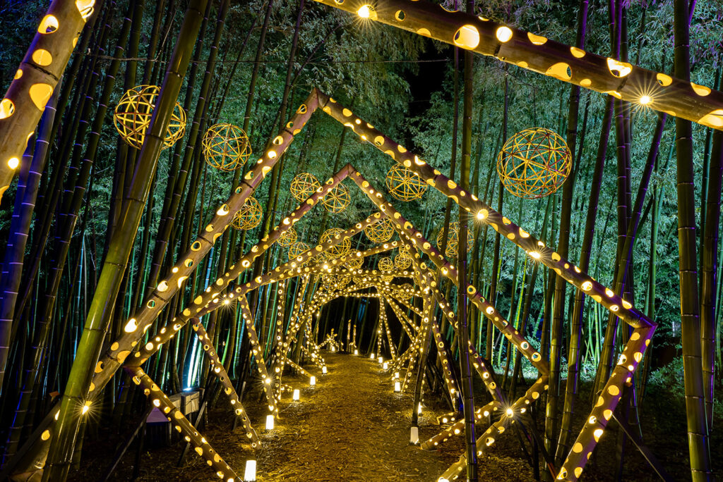 たがみバンブーブー】田上の竹を使った美しいバンブーアート｜田上町