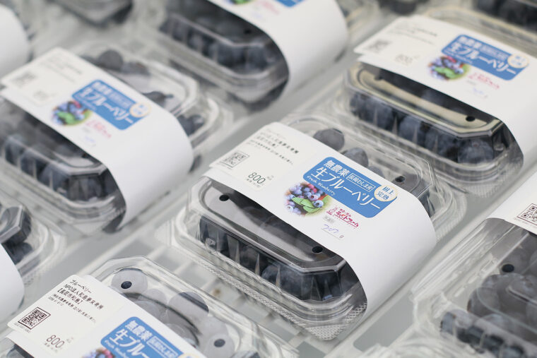 ブルーベリーはパックでも販売