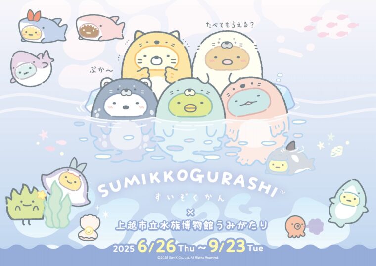 ©2025 San-X Co., Ltd. All Rights Reserved.