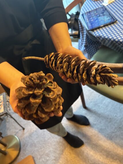 「すげー！！！」店内にあったおフランス生まれのでっかい松ぼっくりに編集部大興奮（笑）