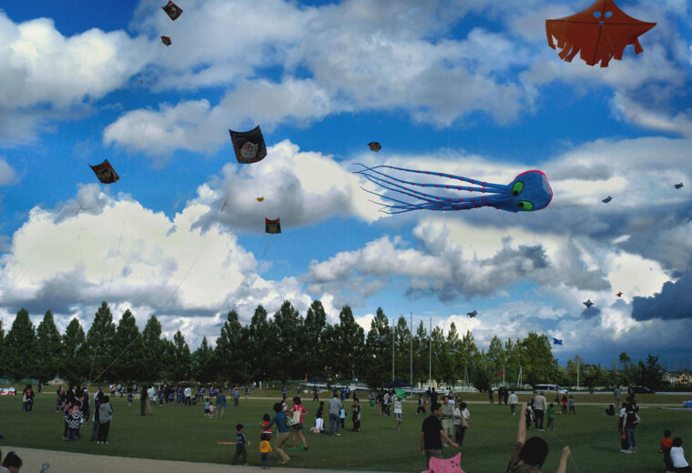 ユニークな凧が空を舞う様子は必見