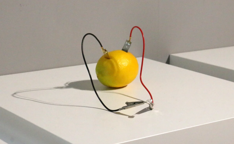 森 健太郎（過去作品｜Lemon.Candy.Motorcycle.Battery/2023）