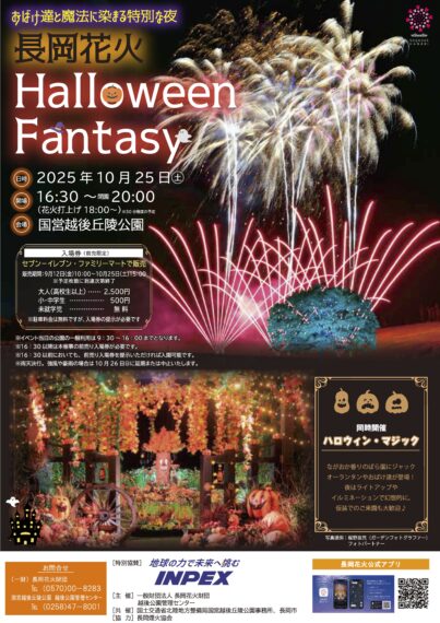 フライヤー画像（リンク先はpdf）