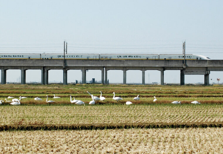 田んぼはお腹も心も満たされるレストラン