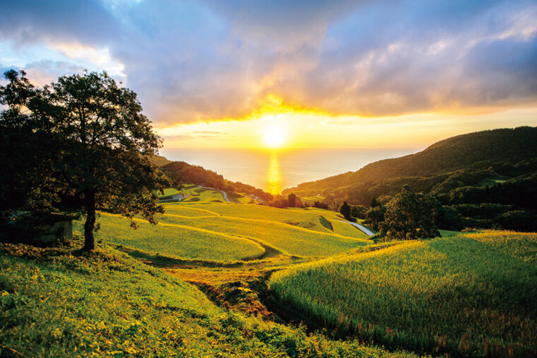 佐渡市・岩首の棚田