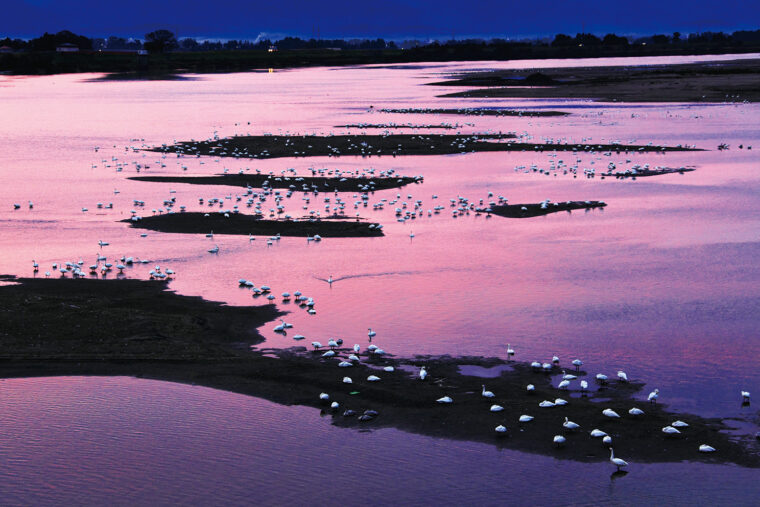潟や川は心安らぐおうち