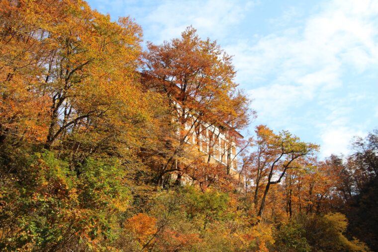 『奥胎内の紅葉』 撮影:榎本和彦