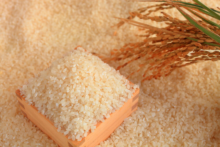 画像はイメージです