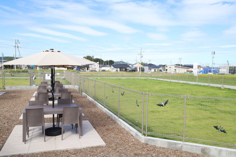 お隣はドッグラン。広〜い！　テラス席は愛犬同席で食事ができます