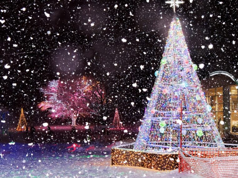 雪とイルミネーションのコラボ