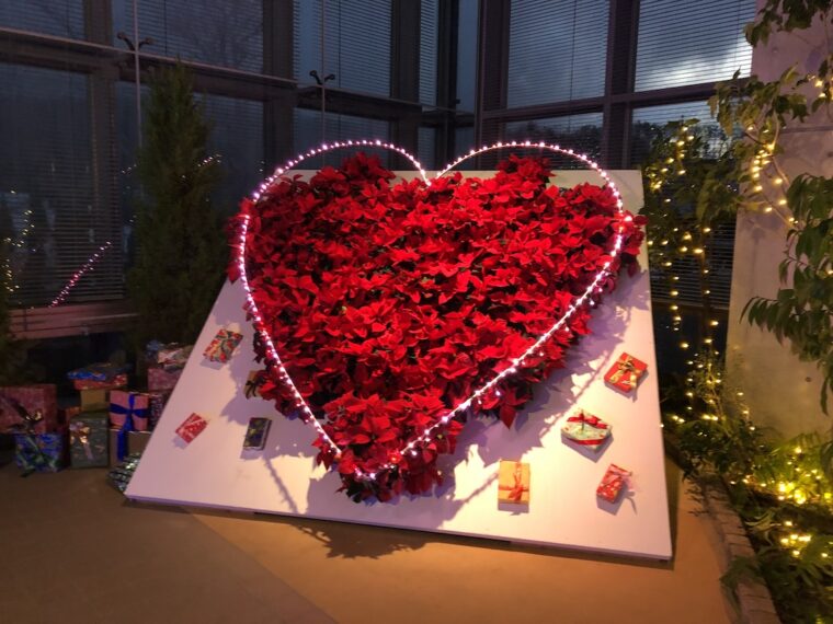 かわいいフォトスポットも見逃せない