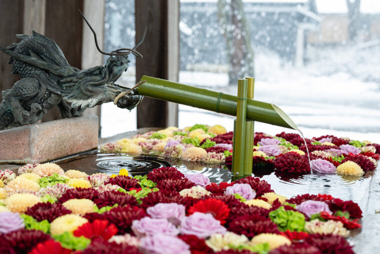 冬の境内に咲き誇る花手水