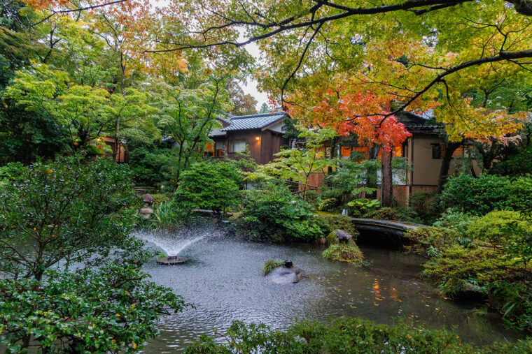 池を囲むように客室が点在する
