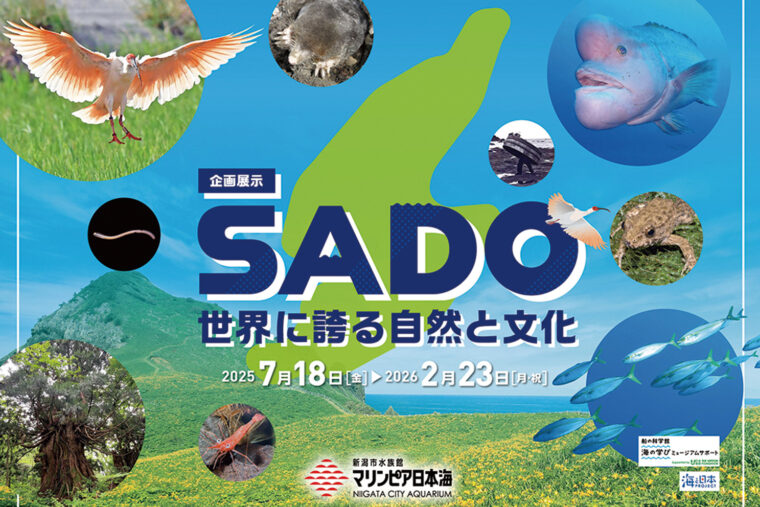 企画展「SADO　世界に誇る自然と文化」