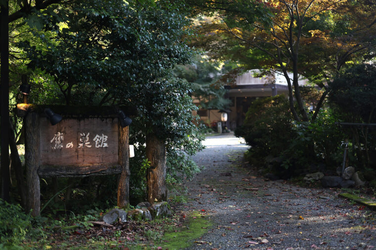 鬱蒼とした木々に囲まれ、しっとりとした雰囲気