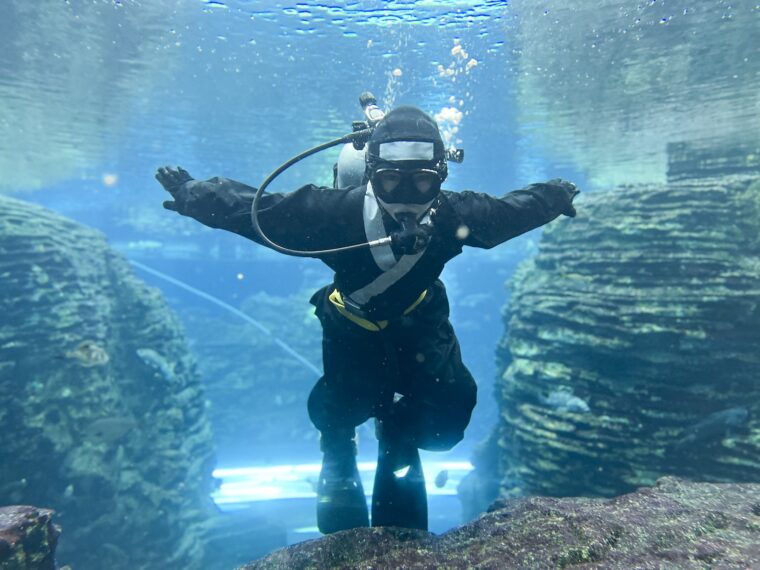 うみがたり大水槽には忍者ダイバーが登場！