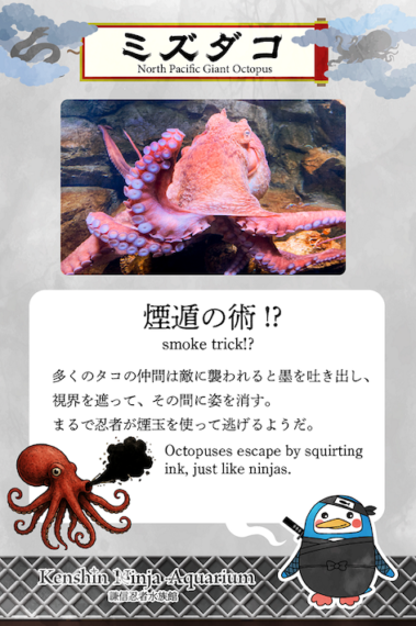 わかりやすい解説パネルも登場！