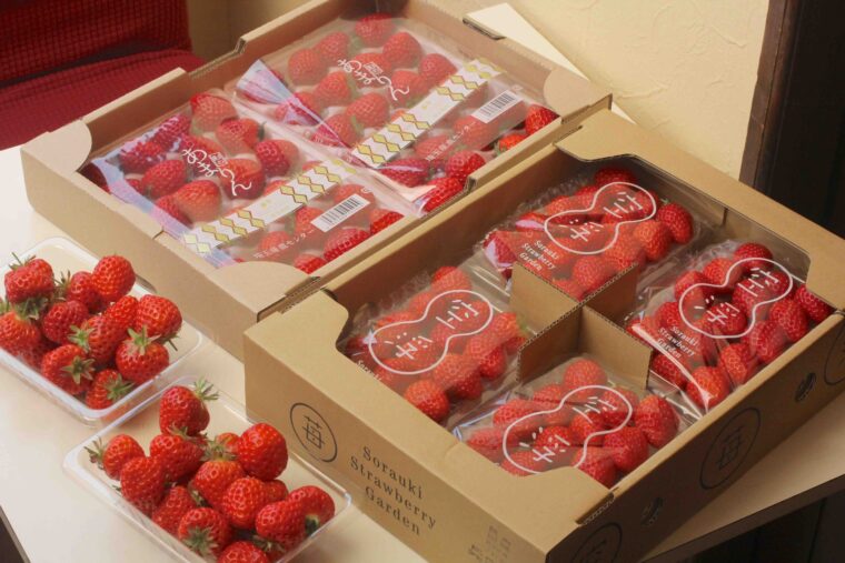 あまりんの入荷状況により品切れの場合があります