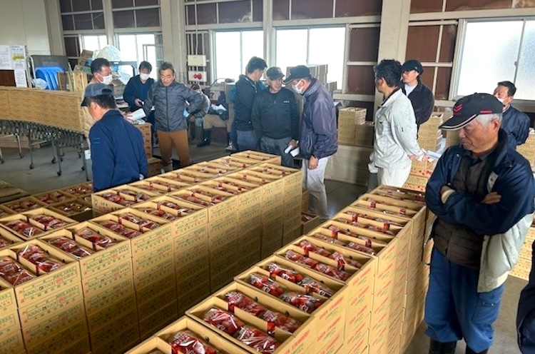 目合わせ会の様子