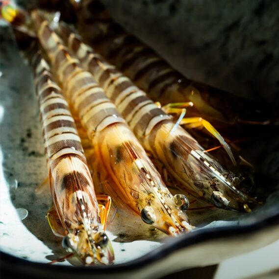 天ぷらの主役とも言える『車海老』。 甘みとうまみ、食感の変化を楽しんで