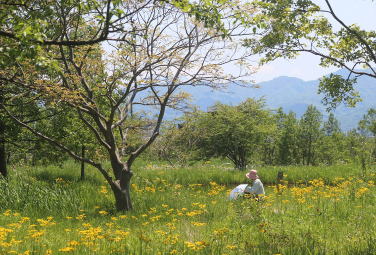 第32回福島潟フォトコンテスト 優秀賞「サワオグルマのスケッチ」由藤惣一