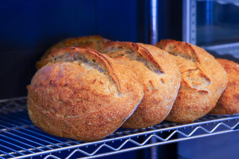 『grains.bread』。現在はこの倍のサイズで焼き上げて販売されています