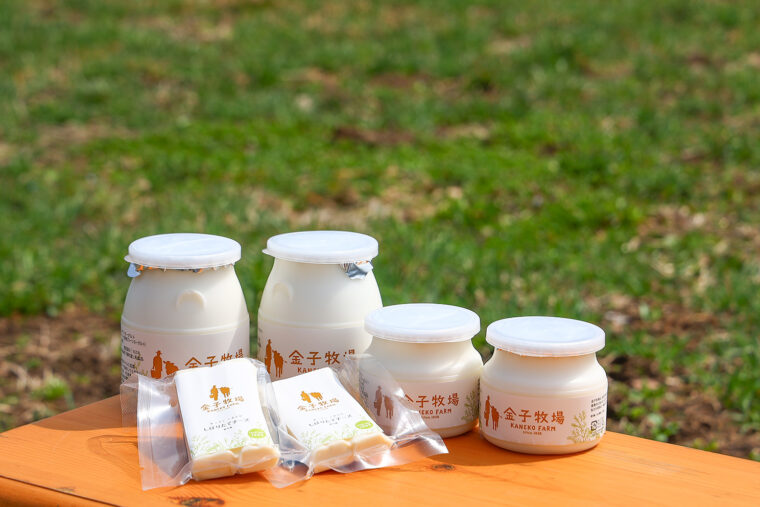 『ゴールデンヨーグルト』（写真奥・300円～）。手前は『フレッシュさけるチーズ』（450円）