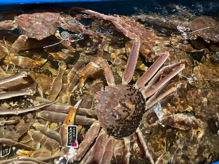 新鮮なカニを全国の有名産地か ら直接仕入れている