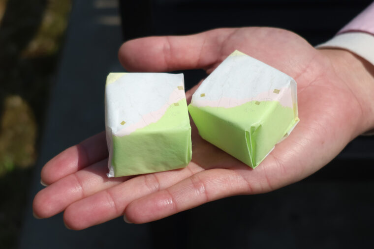 御菓子処米納津屋の『越乃銘菓 雲がくれ』 は、ホントに雲を食べているかのようなふんわり食感。中の黄身餡がおいしい！