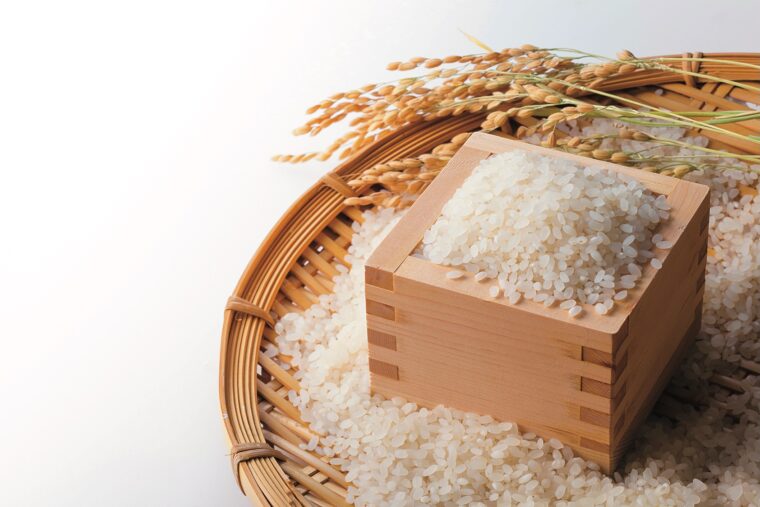 10月 新潟米