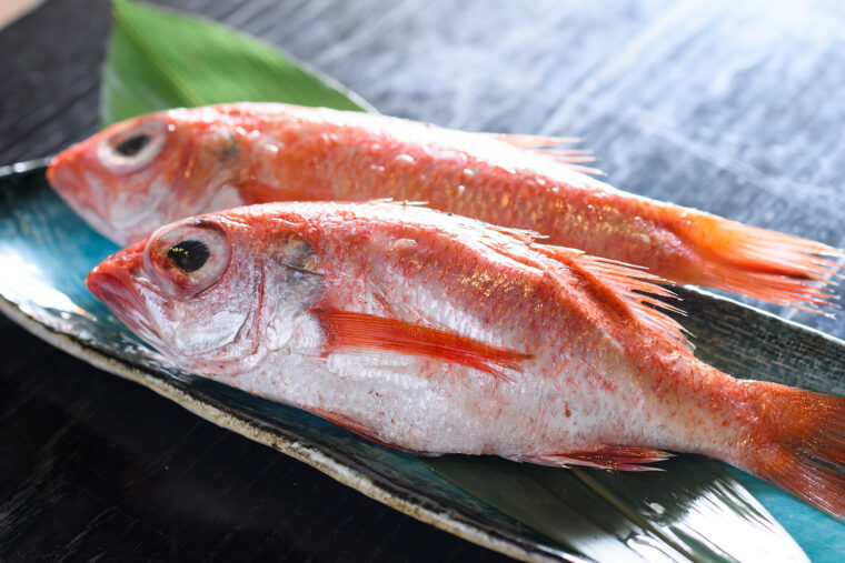 日本海の高級魚ノドグロ。胡坐屋では姿焼き（1,600円）などで提供する