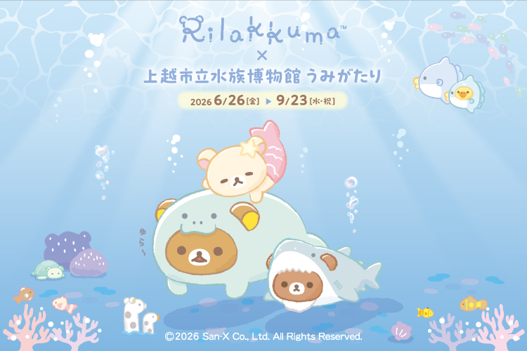 ©2026 San-X Co., Ltd. All Rights Reserved.
