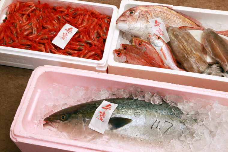 朝佐渡から直送される新鮮な魚介類